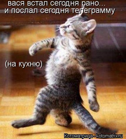 Котоматрица: вася встал сегодня рано... и послал сегодня телеграмму (на кухню)