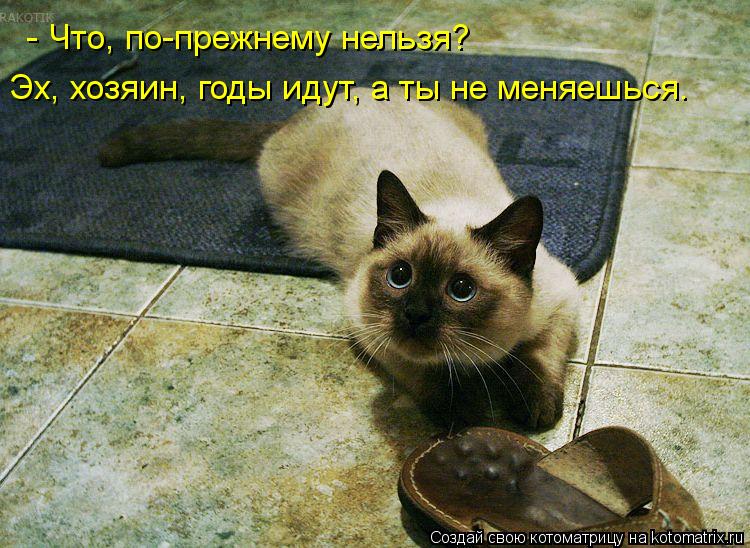 - Что, по-прежнему нельзя? Эх, хозяин, годы идут, а ты не меняешься.... Котоматрица: - Что, по-прежнему нельзя? Эх, хозяин, годы идут, а ты не меняешься.