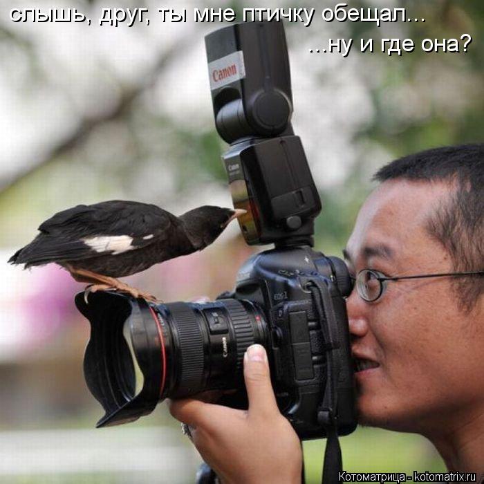 Котоматрица: слышь, друг, ты мне птичку обещал... ...ну и где она?