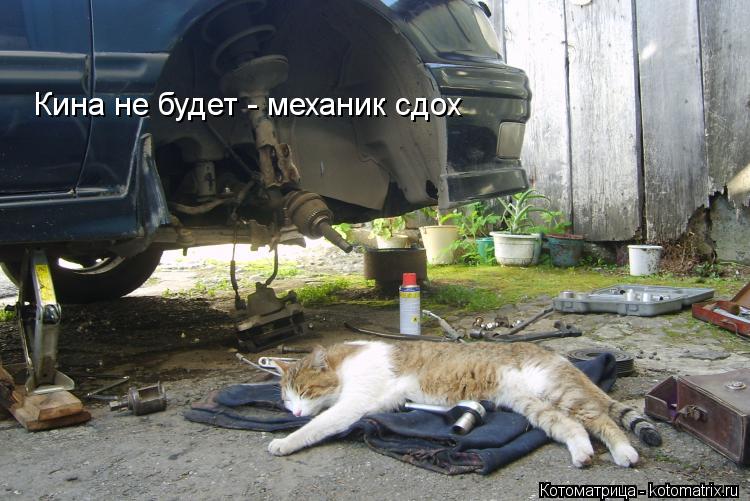 Котоматрица: Кина не будет - механик сдох
