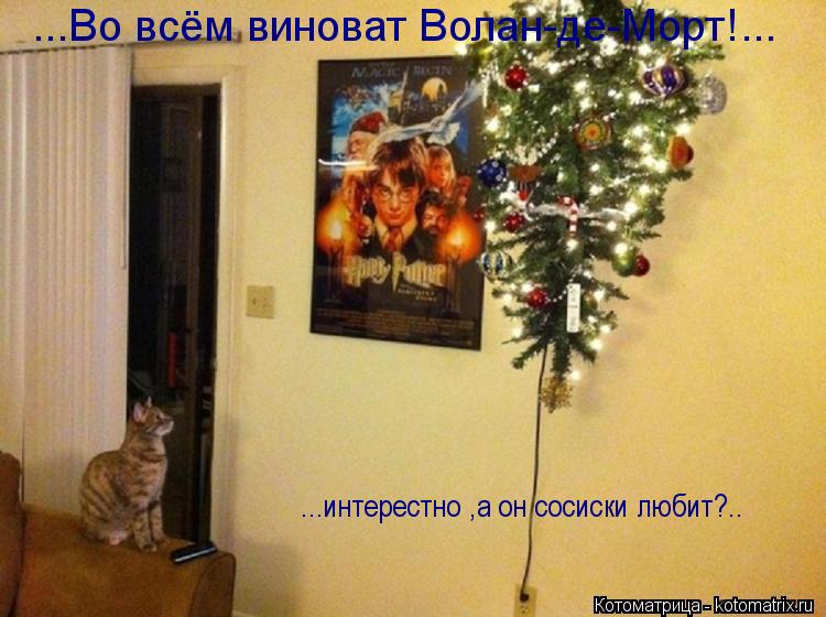 Котоматрица: ...интерестно ,а он сосиски любит?.. ...Во всём виноват Волан-де-Морт!...