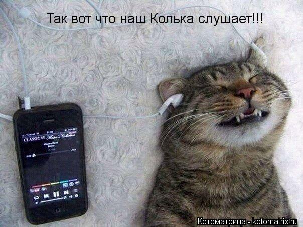 Котоматрица: Так вот что наш Колька слушает!!!