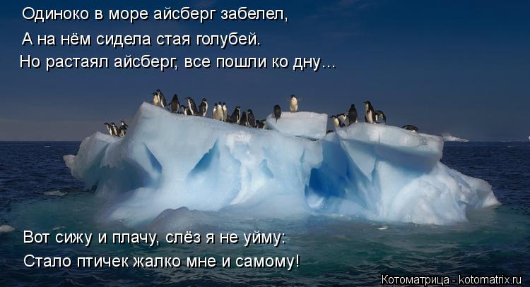 Котоматрица: Одиноко в море айсберг забелел, Но растаял айсберг, все пошли ко дну… А на нём сидела стая голубей. Стало птичек жалко мне и самому! Вот сижу 