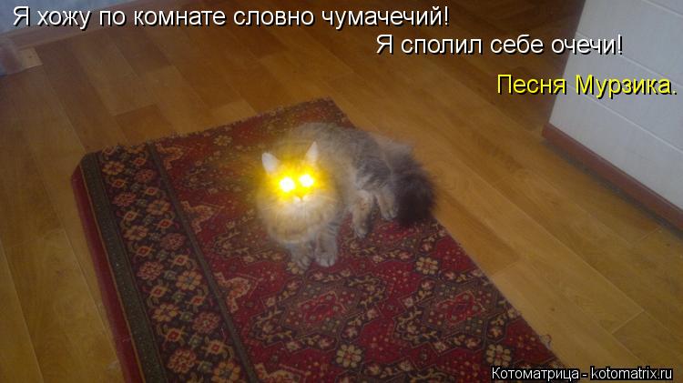 Я хожу по комнате словно чумачечий! Я сполил себе очечи! Песня Мурзика.... Котоматрица: Я хожу по комнате словно чумачечий! Я сполил себе очечи! Песня Мурзика.