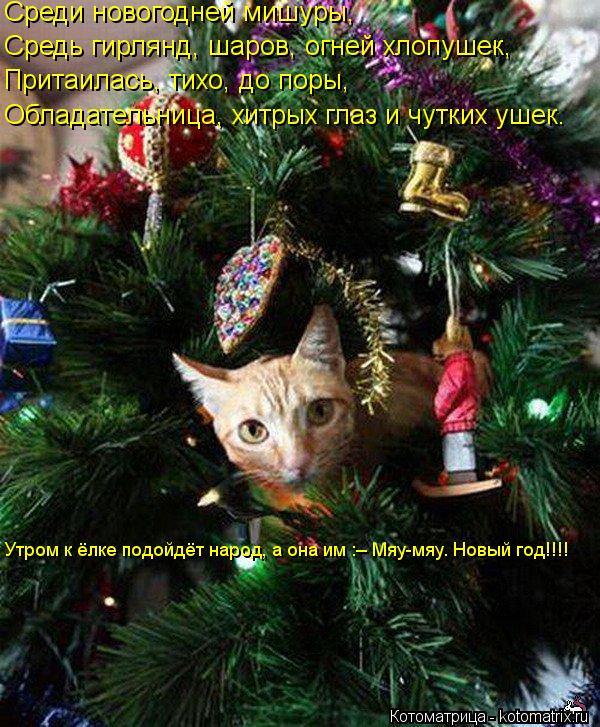 Котоматрица: Среди новогодней мишуры, Средь гирлянд, шаров, огней хлопушек, Притаилась, тихо, до поры, Обладательница, хитрых глаз и чутких ушек. Утром к ё