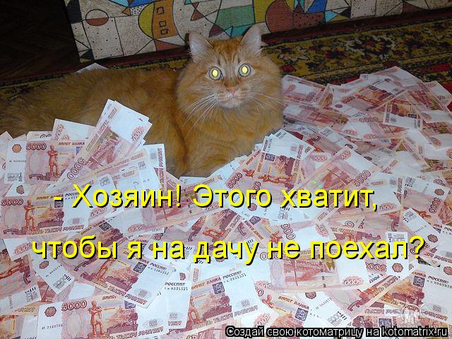 Котоматрица: - Хозяин! Этого хватит, чтобы я на дачу не поехал?