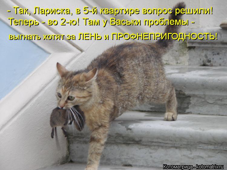 - Так, Лариска, в 5-й квартире вопрос решили! Теперь - во 2-ю! Там у Васьки проблемы - выгнать хотят ... Котоматрица: - Так, Лариска, в 5-й квартире вопрос решили! Теперь - во 2-ю! Там у Васьки проблемы - выгнать хотят за ЛЕНЬ и ПРОФНЕПРИГОДНОСТЬ!