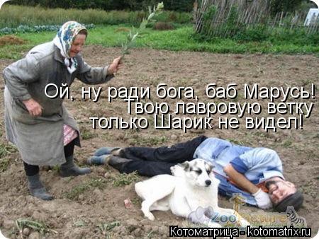Ой, ну ради бога, баб Марусь! Твою лавровую ветку только Шарик не видел!... Котоматрица: Ой, ну ради бога, баб Марусь! Твою лавровую ветку только Шарик не видел!