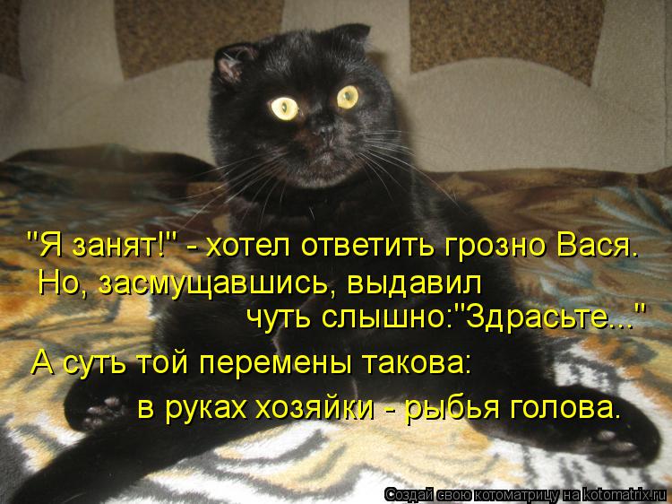 "Я занят!" - хотел ответить грозно Вася. Но, засмущавшись, выдавил чуть слышно:"Здрасьте..." А суть ... Котоматрица: "Я занят!" - хотел ответить грозно Вася. Но, засмущавшись, выдавил чуть слышно:"Здрасьте..." А суть той перемены такова: в руках хозяйки - рыбья