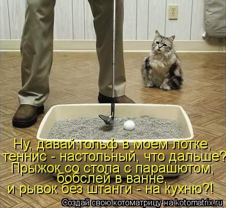 Ну, давай:гольф в моем лотке, теннис - настольный, что дальше?! Прыжок со стола с парашютом, бобслей ... Котоматрица: Ну, давай:гольф в моем лотке, теннис - настольный, что дальше?! Прыжок со стола с парашютом, бобслей в ванне, и рывок без штанги - на кухню?!