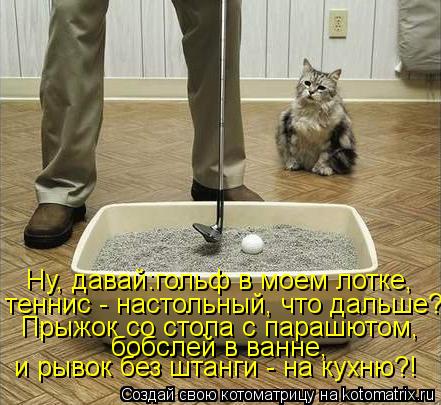 Котоматрица: Ну, давай:гольф в моем лотке, теннис - настольный, что дальше?! Прыжок со стола с парашютом, бобслей в ванне,  и рывок без штанги - на кухню?!