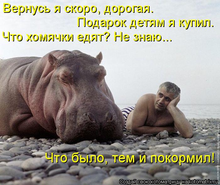 Вернусь я скоро, дорогая. Подарок детям я купил. Что хомячки едят? Не знаю... Что было, тем и поко... Котоматрица: Вернусь я скоро, дорогая. Подарок детям я купил. Что хомячки едят? Не знаю... Что было, тем и покормил!