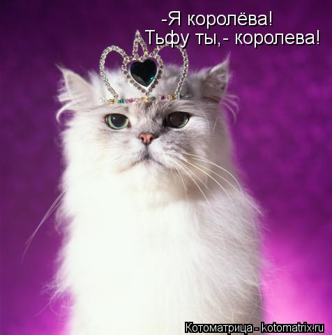 -Я королёва! Тьфу ты,- королева!... Котоматрица: -Я королёва! Тьфу ты,- королева!