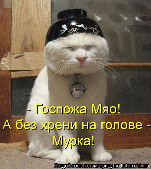 - Госпожа Мяо! А без хрени на голове - Мурка!... Котоматрица: - Госпожа Мяо! А без хрени на голове - Мурка!