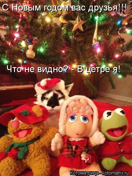 С Новым годом вас друзья!!! Что не видно? - В цетре я!... Котоматрица: С Новым годом вас друзья!!! Что не видно? - В цетре я!