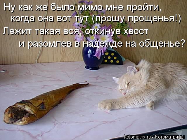 Ну как же было мимо мне пройти, когда она вот тут (прошу прощенья!) Лежит такая вся, откинув хвост ... Котоматрица: Ну как же было мимо мне пройти, когда она вот тут (прошу прощенья!) Лежит такая вся, откинув хвост и разомлев в надежде на общенье?