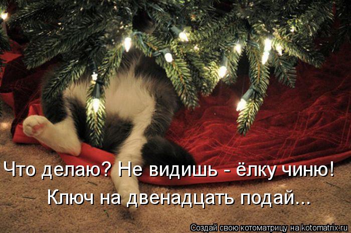 Что делаю? Не видишь - ёлку чиню! Ключ на двенадцать подай...... Котоматрица: Что делаю? Не видишь - ёлку чиню! Ключ на двенадцать подай...
