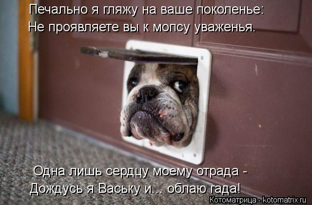 Печально я гляжу на ваше поколенье: Не проявляете вы к мопсу уваженья. Одна лишь сердцу моему отрада ... Котоматрица: Печально я гляжу на ваше поколенье: Не проявляете вы к мопсу уваженья. Одна лишь сердцу моему отрада - Дождусь я Ваську и... облаю гада!