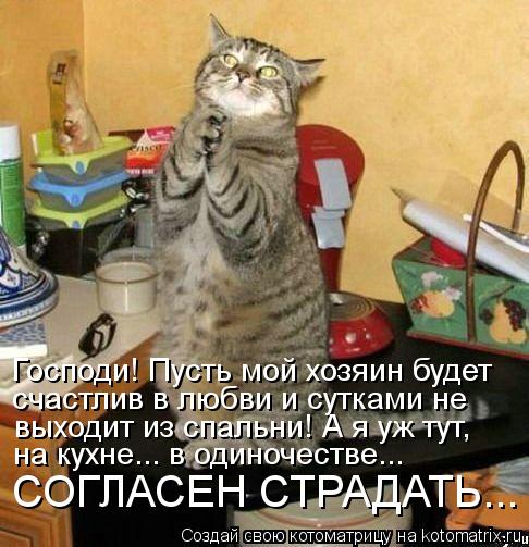Господи! Пусть мой хозяин будет счастлив в любви и сутками не выходит из спальни! А я уж тут, на кухн... Котоматрица: Господи! Пусть мой хозяин будет счастлив в любви и сутками не выходит из спальни! А я уж тут, на кухне... в одиночестве... СОГЛАСЕН СТРАДАТЬ...