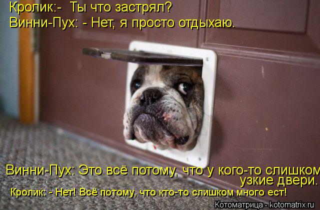 Кролик:- Ты что застрял? Винни-Пух: - Нет, я просто отдыхаю. Винни-Пух: Это всё потому, что у кого... Котоматрица: Кролик:- Ты что застрял? Винни-Пух: - Нет, я просто отдыхаю. Винни-Пух: Это всё потому, что у кого-то слишком узкие двери. Кролик: - Нет! Всё пот
