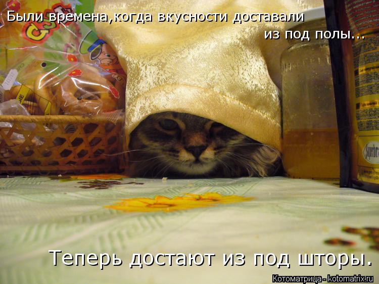 Котоматрица: Были времена,когда вкусности доставали из под полы... Теперь достают из под шторы.