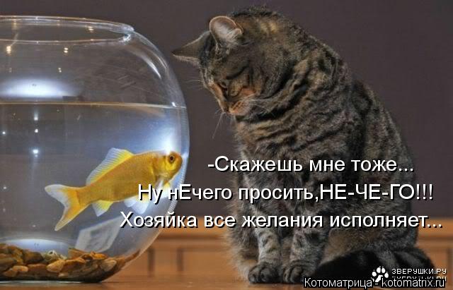 Хозяйка все желания исполняет... -Скажешь мне тоже... Ну нЕчего просить,НЕ-ЧЕ-ГО!!!... Котоматрица: Хозяйка все желания исполняет... -Скажешь мне тоже... Ну нЕчего просить,НЕ-ЧЕ-ГО!!!