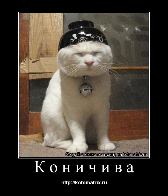 Коничива http://kotomatrix.ru... Котоматрица: Коничива http://kotomatrix.ru