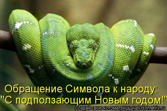 "С подползающим Новым годом!" Обращение Символа к народу:... Котоматрица: "С подползающим Новым годом!" Обращение Символа к народу:
