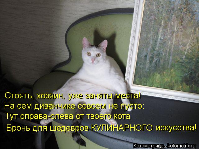Котоматрица: На сем диванчике совсем не пусто: Бронь для шедевров КУЛИНАРНОГО искусства! Стоять, хозяин, уже заняты места! Тут справа-слева от твоего кот