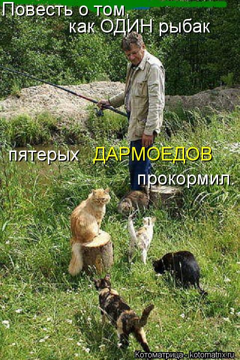 Повесть о том, прокормил. пятерых ДАРМОЕДОВ как ОДИН рыбак... Котоматрица: Повесть о том, прокормил. пятерых ДАРМОЕДОВ как ОДИН рыбак