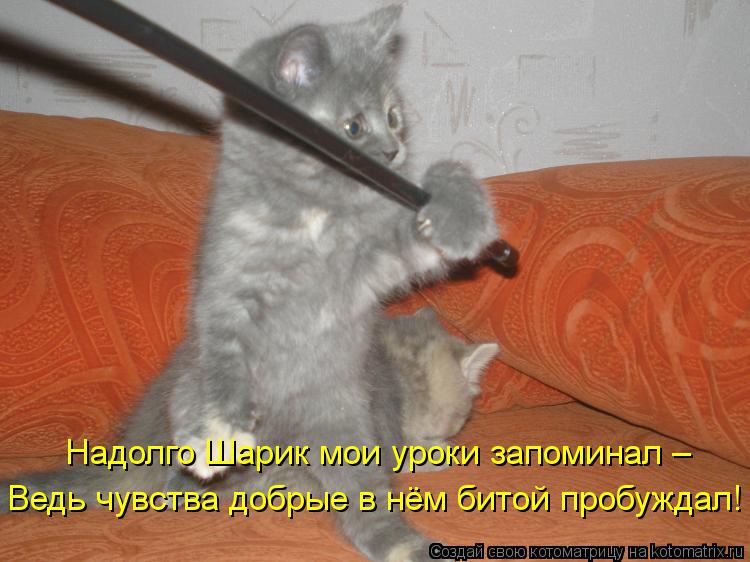 Котоматрица: Ведь чувства добрые в нём битой пробуждал! Надолго Шарик мои уроки запоминал –