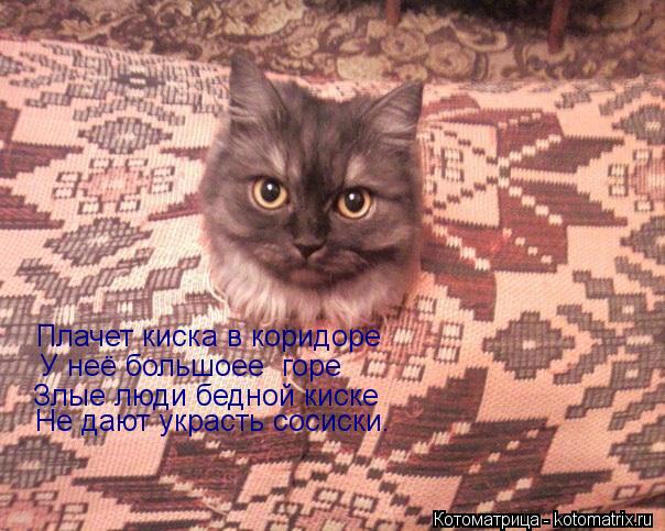 Плачет киска в коридоре У неё большоее горе Злые люди бедной киске Не дают украсть сосиски.... Котоматрица: Плачет киска в коридоре У неё большоее горе Злые люди бедной киске Не дают украсть сосиски.