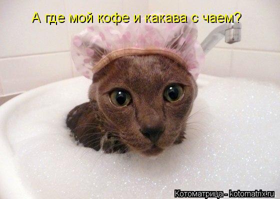 А где мой кофе и какава с чаем?... Котоматрица: А где мой кофе и какава с чаем?