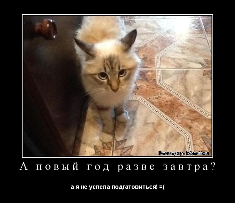 Котоматрица: А новый год разве завтра? а я не успела подгатовиться! =(