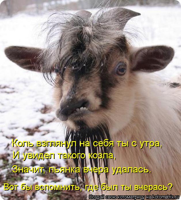 Котоматрица: Коль взглянул на себя ты с утра, И увидел такого козла, Значит, пьянка вчера удалась. Вот бы вспомнить, где был ты вчерась?