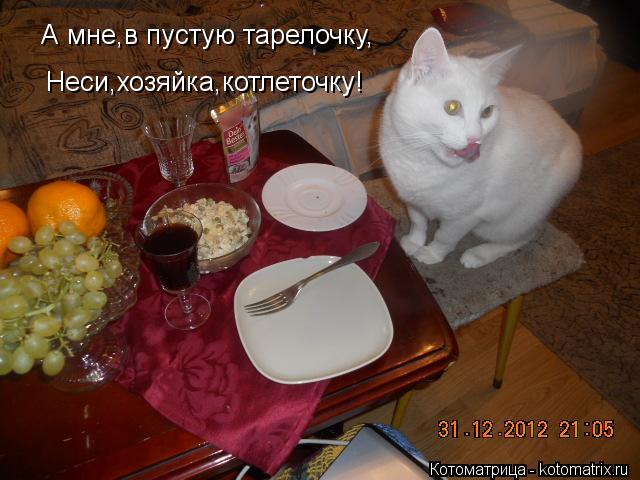А мне,в пустую тарелочку, Неси,хозяйка,котлеточку!... Котоматрица: А мне,в пустую тарелочку, Неси,хозяйка,котлеточку!