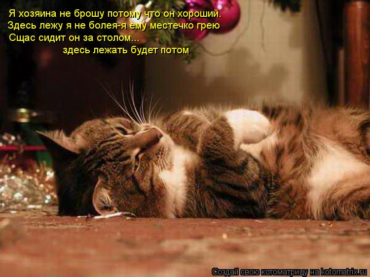 Котоматрица: Я хозяина не брошу потому что он хороший. Здесь лежу я не болея-я ему местечко грею Сщас сидит он за столом... здесь лежать будет потом