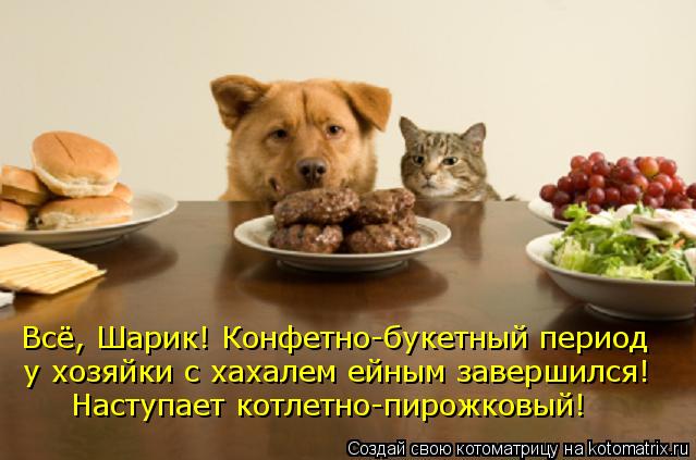 Всё, Шарик! Конфетно-букетный период у хозяйки с хахалем ейным завершился! Наступает котлетно-пирожко... Котоматрица: Всё, Шарик! Конфетно-букетный период у хозяйки с хахалем ейным завершился! Наступает котлетно-пирожковый!