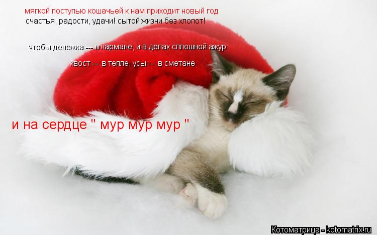 мягкой поступью кошачьей к нам приходит новый год счастья, радости, удачи! сытой жизни без хлопот! хв... Котоматрица: мягкой поступью кошачьей к нам приходит новый год счастья, радости, удачи! сытой жизни без хлопот! хвост --- в тепле, усы --- в сметане чтобы ден