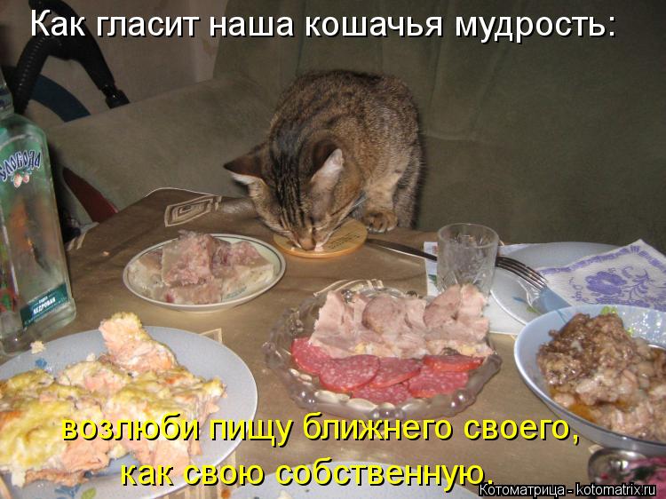 Котоматрица: Как гласит наша кошачья мудрость: возлюби пищу ближнего своего, как свою собственную.