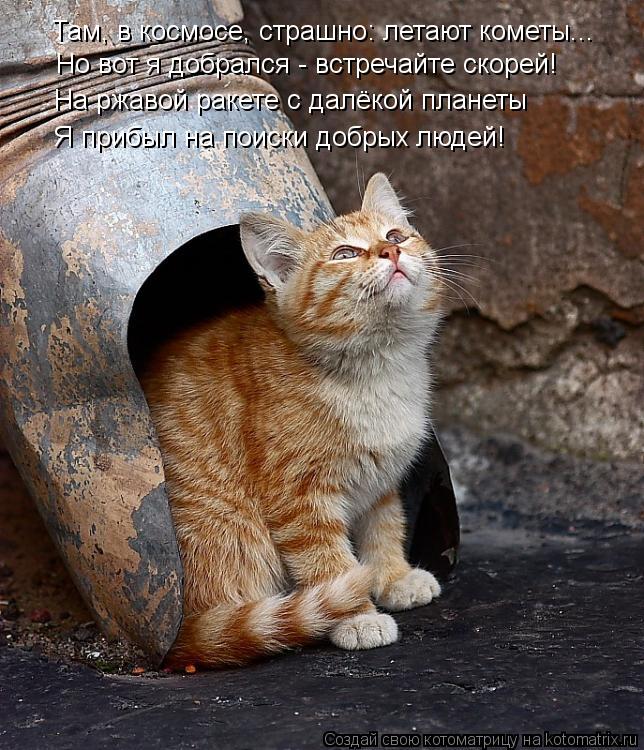 Котоматрица: Там, в космосе, страшно: летают кометы... Но вот я добрался - встречайте скорей! На ржавой ракете с далёкой планеты Я прибыл на поиски добрых л