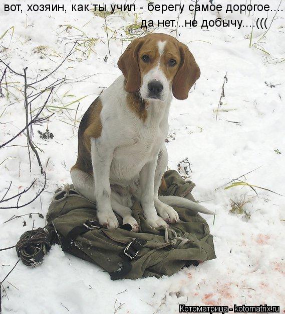 вот, хозяин, как ты учил - берегу самое дорогое.... да нет...не добычу....(((... Котоматрица: вот, хозяин, как ты учил - берегу самое дорогое.... да нет...не добычу....(((