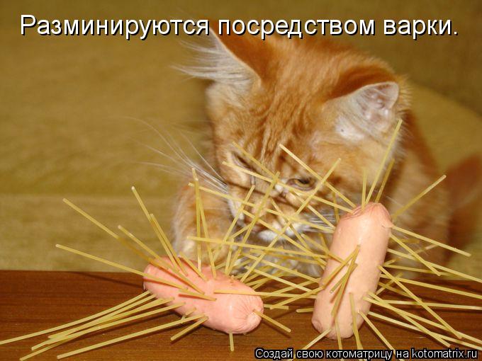Разминируются посредством варки.... Котоматрица: Разминируются посредством варки.
