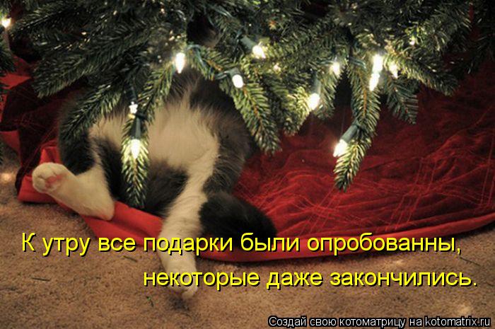 К утру все подарки были опробованны, некоторые даже закончились.... Котоматрица: К утру все подарки были опробованны, некоторые даже закончились.