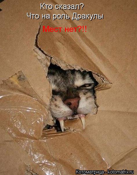 Кто сказал? Что на роль Дракулы Мест нет?!!... Котоматрица: Кто сказал? Что на роль Дракулы Мест нет?!!