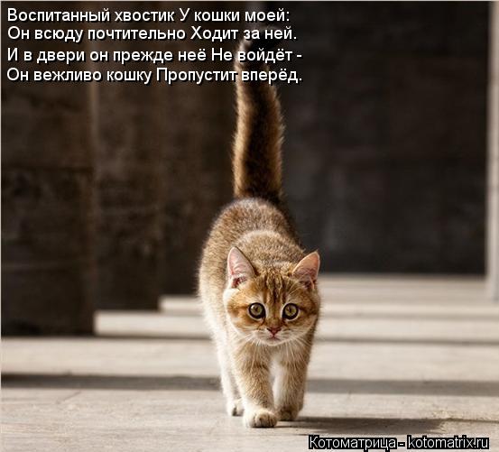 Что он ходит за мной всюду Что он ходит за мной всюду