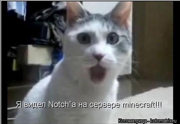 Я видел Notch`a на сервере minecraft!!!... Котоматрица: Я видел Notch`a на сервере minecraft!!!