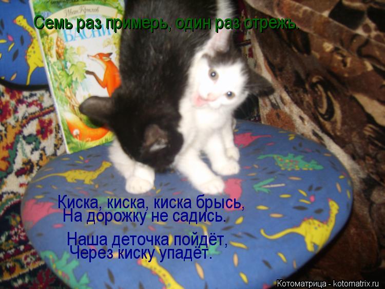 Котоматрица: Семь раз примерь, один раз отрежь. Киска, киска, киска брысь, На дорожку не садись. Наша деточка пойдёт, Через киску упадёт.