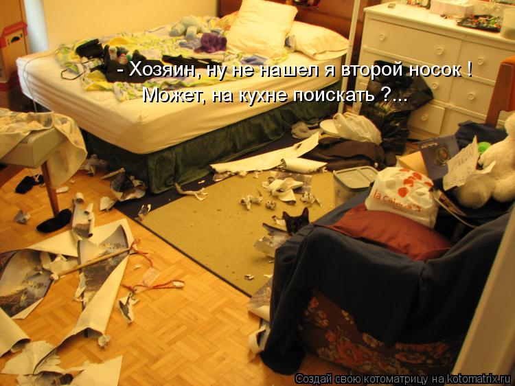 - Хозяин, ну не нашел я второй носок ! Может, на кухне поискать ?...... Котоматрица: - Хозяин, ну не нашел я второй носок ! Может, на кухне поискать ?...