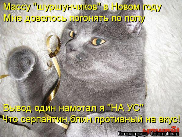 Массу "шуршунчиков" в Новом году Мне довелось погонять по полу Вывод один намотал я "НА УС" Что серпа... Котоматрица: Массу "шуршунчиков" в Новом году Мне довелось погонять по полу Вывод один намотал я "НА УС" Что серпантин,блин,противный на вкус!